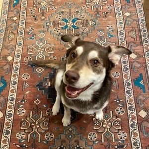 Meet your Posher, Kate